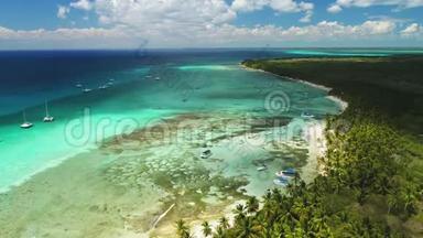 加勒比海的天堂热带岛屿。 充满异国情调的野生海滩全景